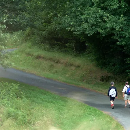 Maison Independante Avec Jardin, Animaux Acceptes, Proche Vichy - Fr-1-489-280 * Arfeuilles