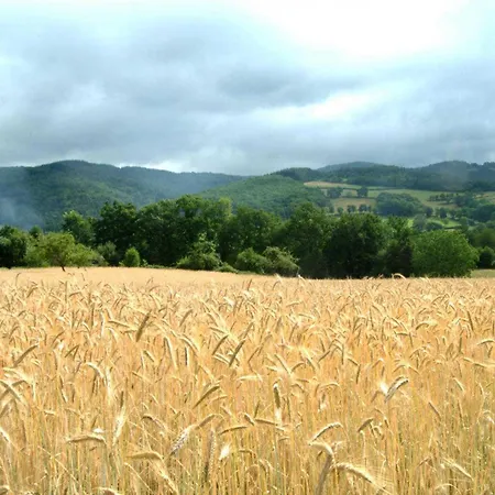 Maison Independante Avec Jardin, Animaux Acceptes, Proche Vichy - Fr-1-489-280 Dom wakacyjny