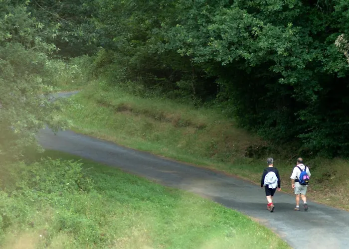 Maison Independante Avec Jardin, Animaux Acceptes, Proche Vichy - Fr-1-489-280 * Arfeuilles