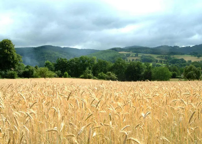 Maison Independante Avec Jardin, Animaux Acceptes, Proche Vichy - Fr-1-489-280 Vakantiehuis